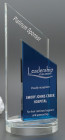 Harmony Award - Cobalt Blue and Clear Glass