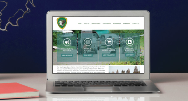 Custom Web Development